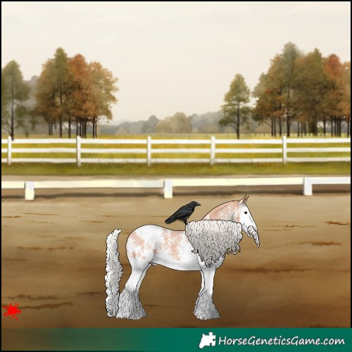 Horse Color:White Spotted Silver Bay Splash Appaloosa