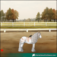 Horse Color:White Spotted Silver Bay Splash Appaloosa 