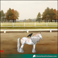 Horse Color:White Spotted Silver Bay Splash Appaloosa
