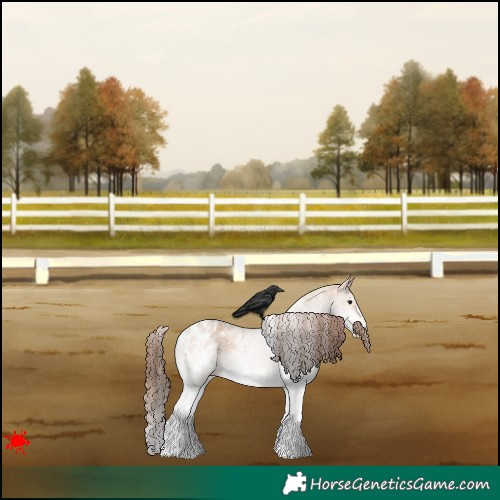 Horse Color:White Spotted Bay Roan Dun Appaloosa 