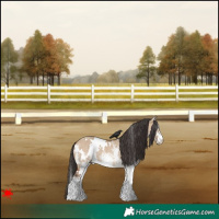 Horse Color:White Spotted Bay Dun Rabicano 