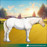 Horse Color:Gray Silver Amber Cream Champagne Roan Dun Splash Tobiano Frame Appaloosa Rabicano