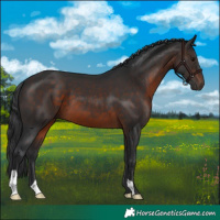 Horse Color:Brown 