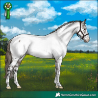 Horse Color:Smoky Grullo Appaloosa