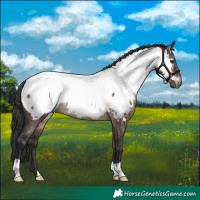 Horse Color:Brown Dun Near Fewspot Rabicano