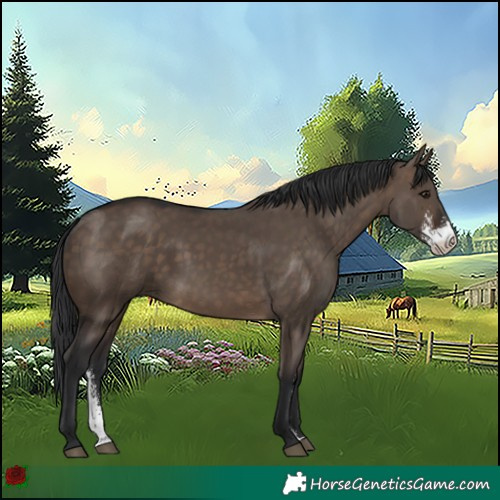 Horse Color:Brown Dun Sabino Rabicano