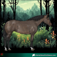 Horse Color:Brown Dun Rabicano 