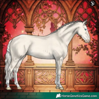 Horse Color:Cremello Dun Tobiano
