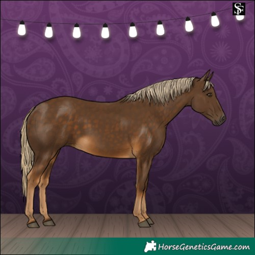 Horse Color:Chocolate Palomino 