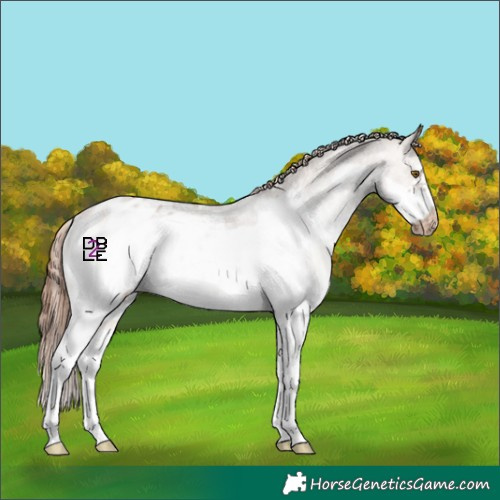 Horse Color:White Spotted Bay Dun Mushroom Frame Appaloosa