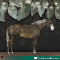 Horse Color:Silver Buckskin Sabino