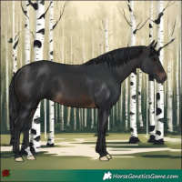 Horse Color:Brown 
