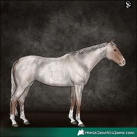 Horse Color:Silver Blue Roan Sabino 