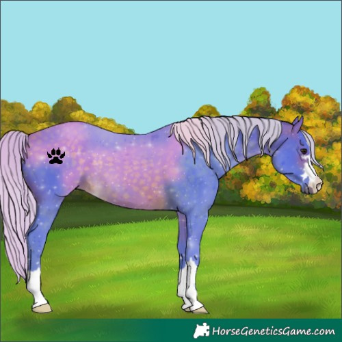 Horse Color:Watercolor Silver Brown 
