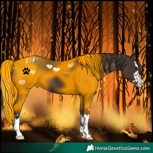 Horse Color:Liver Chestnut Varnish 