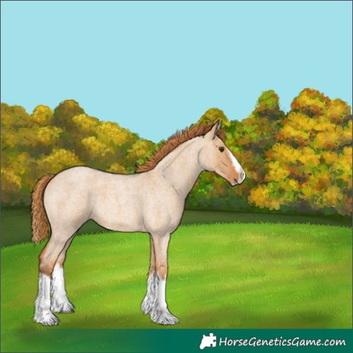 Horse Color:Red Dun Roan Splash Frame Rabicano 