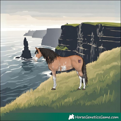 Horse Color:Bay Sabino Splash 