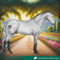 Horse Color:Silver Bay Chinchilla 