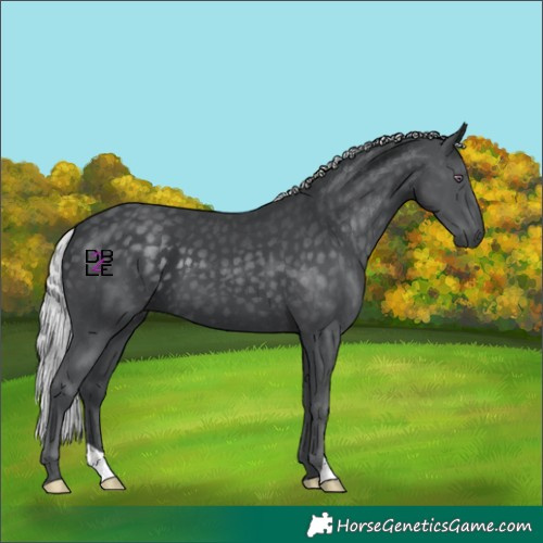 Horse Color:Silver Black Chinchilla 