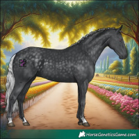 Horse Color:Silver Black Chinchilla 
