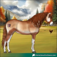 Horse Color:Red Onyx