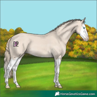 Horse Color:Smoky Creme Splash 
