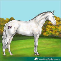 Horse Color:Silver Classic Cream Champagne Pearl Tobiano Appaloosa 