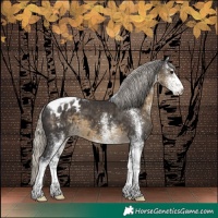 Horse Color:White Spotted Silver Smoky Black Tobiano Appaloosa 
