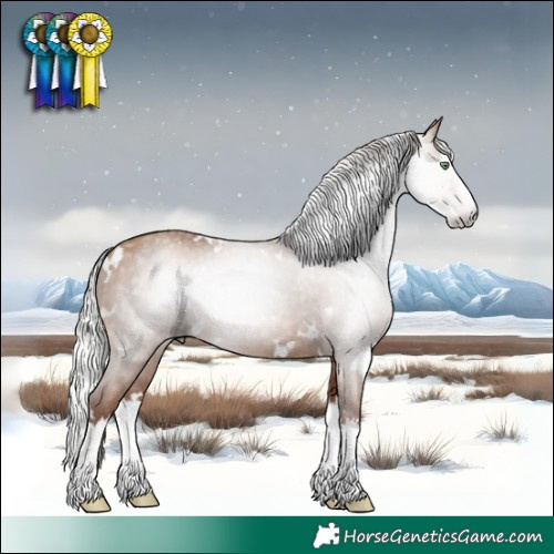 Horse Color:Gray White Spotted Silver Amber Champagne Splash Rabicano 