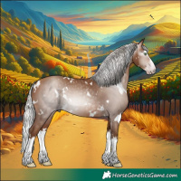 Horse Color:Gray White Spotted Silver Amber Champagne Splash Rabicano 