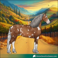 Horse Color:Gray White Spotted Silver Amber Champagne Splash Rabicano