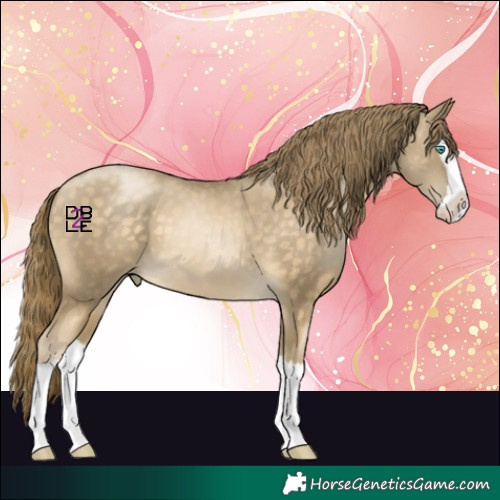 Horse Color:Buckskin Pearl Splash 