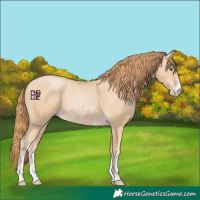 Horse Color:Smoky Black Pearl Sabino