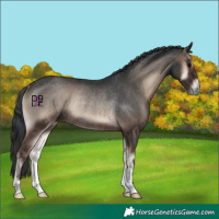Horse Color:Blue Onyx Rabicano
