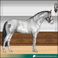 Horse Color:Midnight Blue Onyx Ice Roan Sabino 