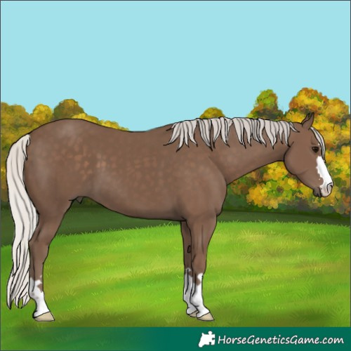 Horse Color:Silver Black 