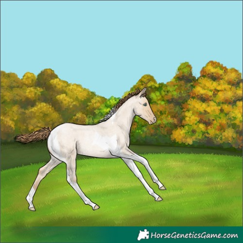 Horse Color:Smoky Grullo Roan Pearl Tobiano