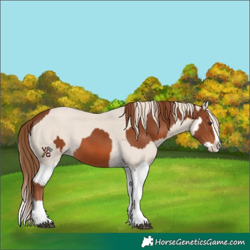 Horse Color:Chestnut Splash and Smoky Creme Splash