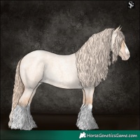 Horse Color:Gold Champagne Roan Dun Splash Frame Rabicano