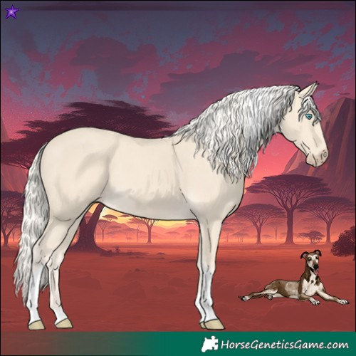 Horse Color:Cremello Tobiano