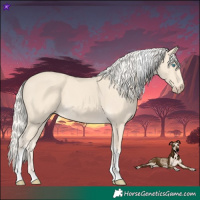 Horse Color:Cremello Tobiano 