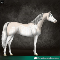 Horse Color:Cremello Splash and Cremello Splash Frame