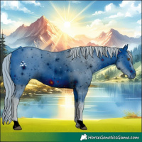 Horse Color:ERROR: UNKNOWN ANOMALY
