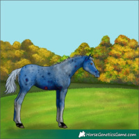 Horse Color:ERROR: UNKNOWN ANOMALY