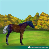 Horse Color:ERROR: UNKNOWN ANOMALY