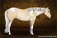 Horse Color:White Spotted Silver Bay Pearl Dun Tobiano