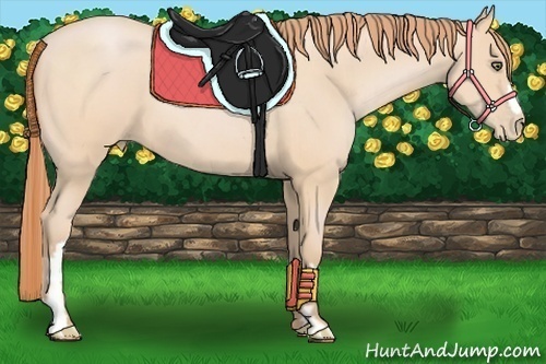 Horse Color:Buckskin Pearl Frame 