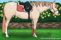 Horse Color:Buckskin Pearl Frame 