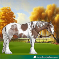 Horse Color:Silver Black Sabino Tobiano 