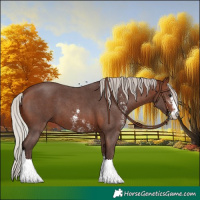 Horse Color:Silver Brown Sabino 